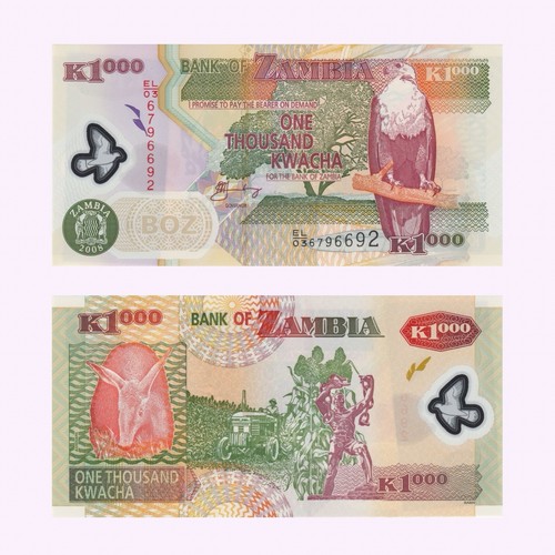 Zambia 1000 kwacha banknote - kwacha,